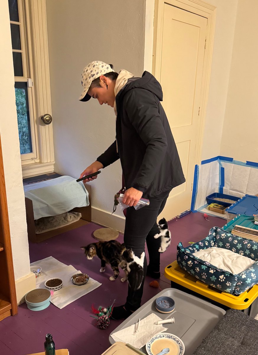 Kylie Chi 季 🇵🇸🏳️‍🌈 tweet media