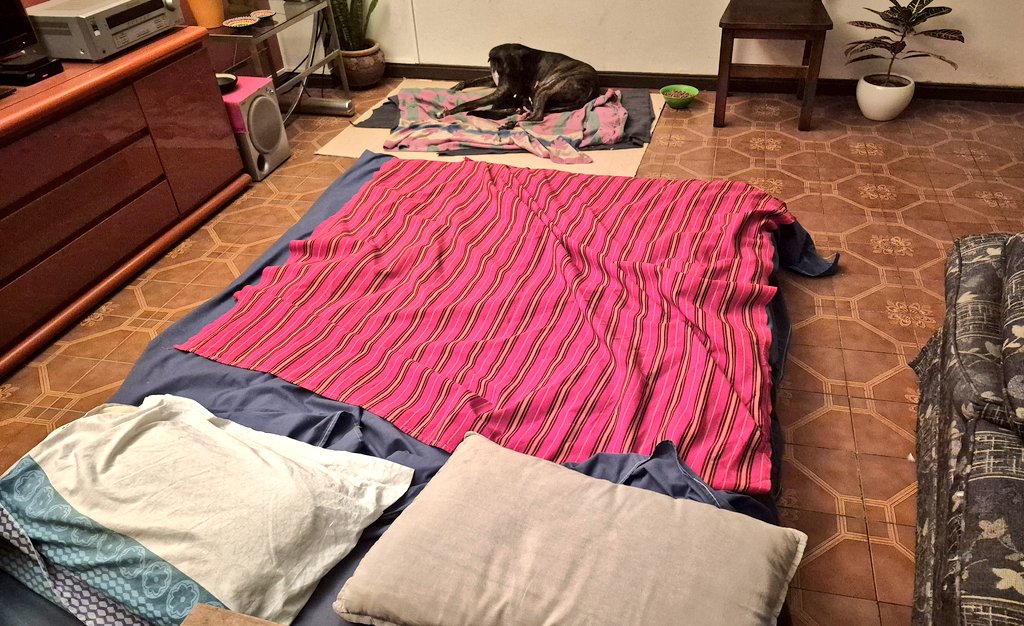 🅶🅴🆁🅼🅰🅽 tweet media