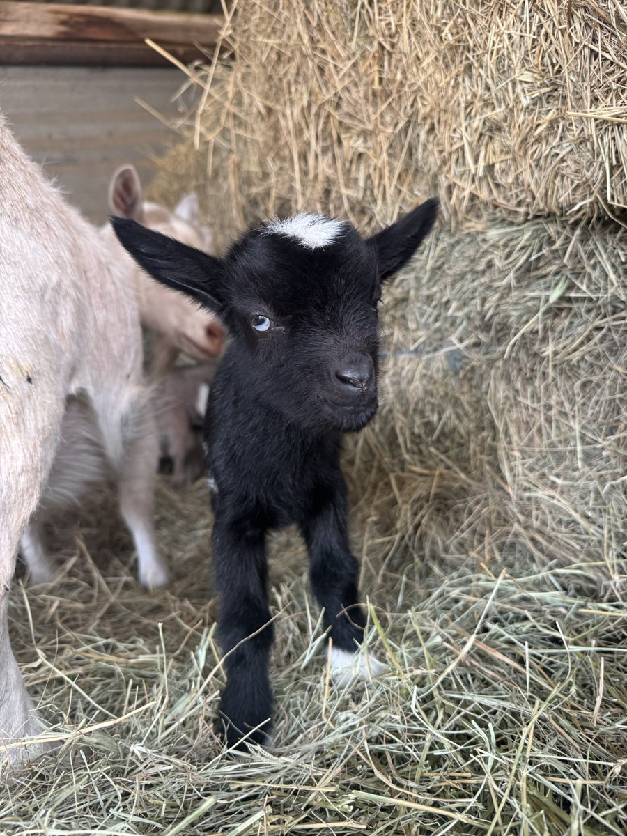 Where is everyone from? Were in Central tx