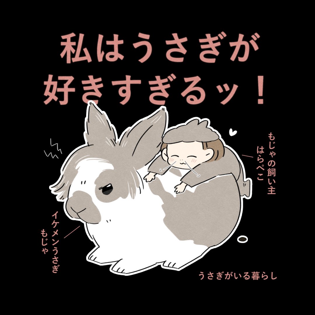 私はうさぎが好きすぎるッ - Cerca / X