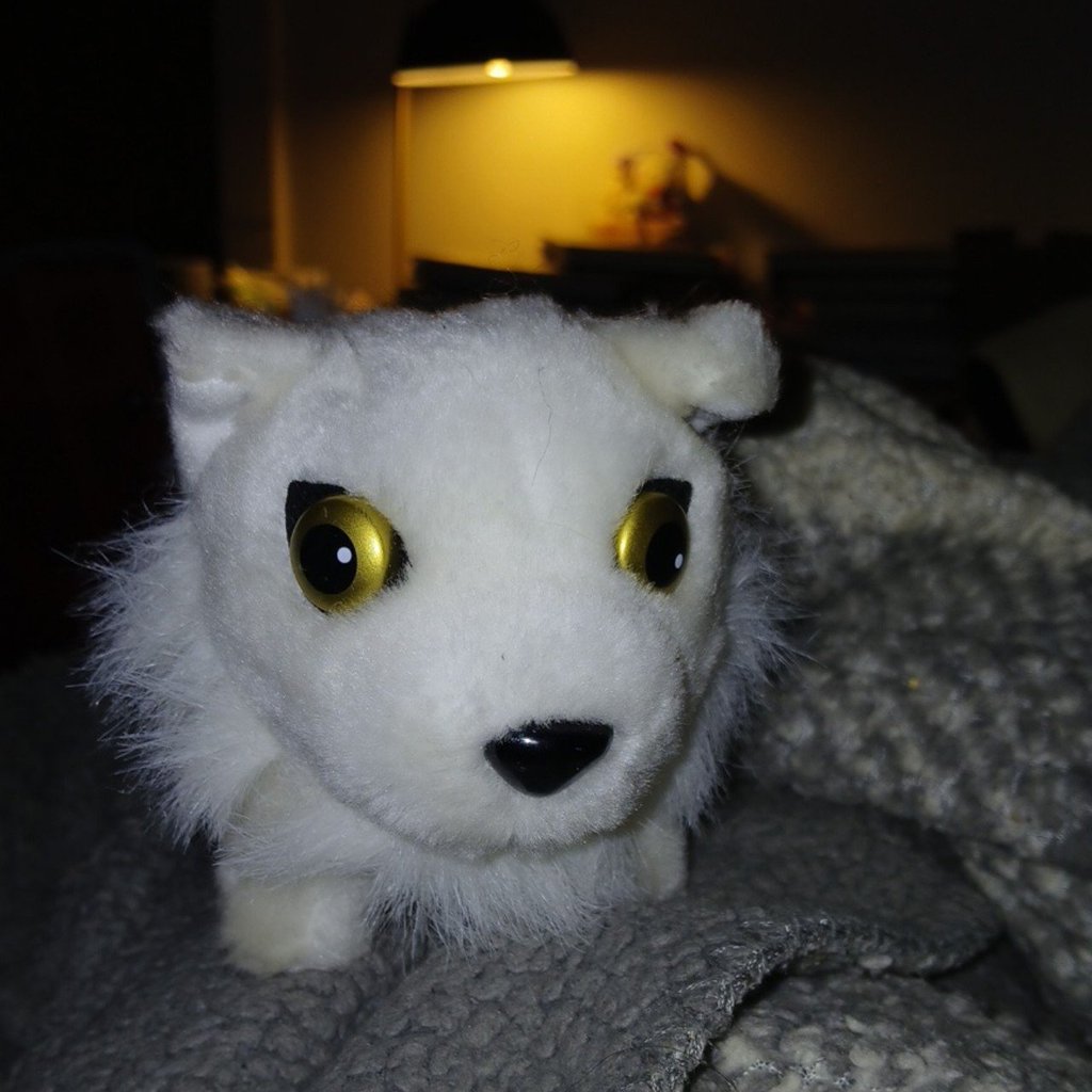marsherhund's tweet image. I like my trinkets and being silly 
#plushcore #kawaii #wolfsrain #anime #cutecore