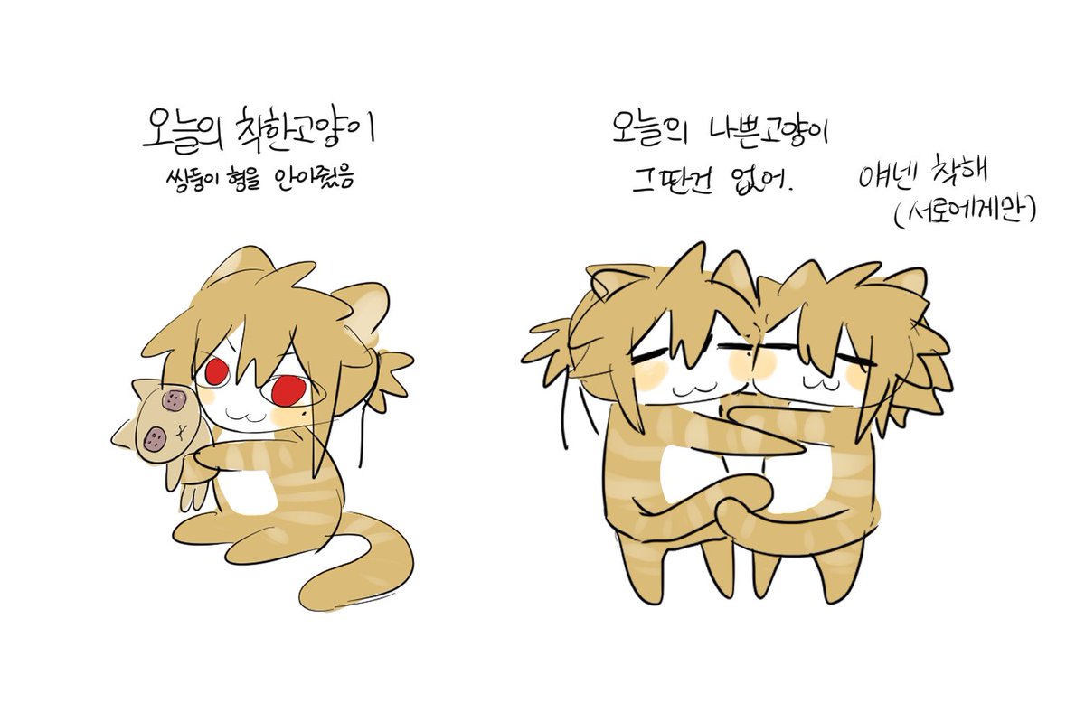 귤 tweet media
