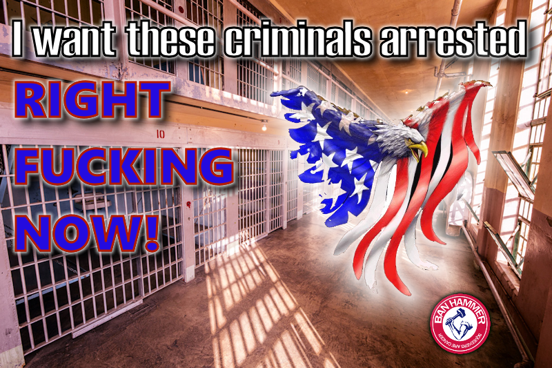 BanHammer tweet media