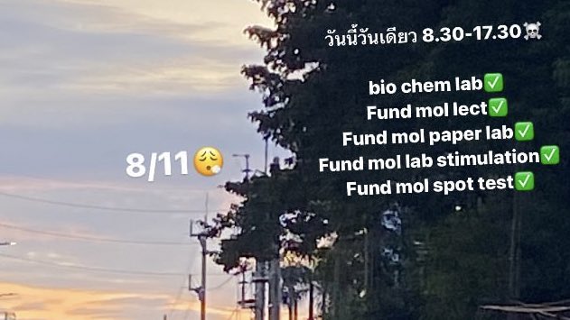 นักล่าฝัน (🦷ྀིྀིྀིྀིྀི ) tweet media