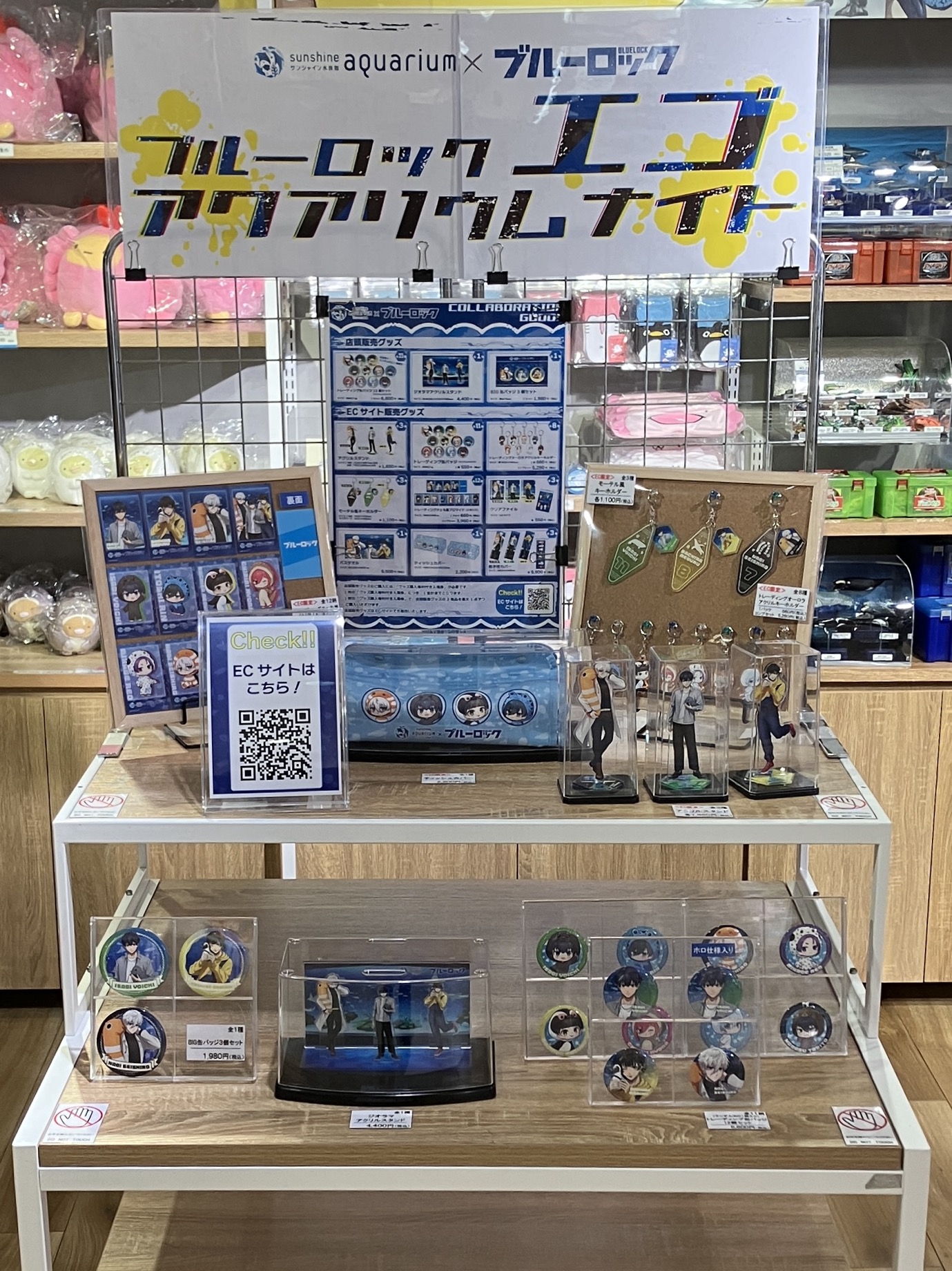 サンシャイン水族館 on X: 