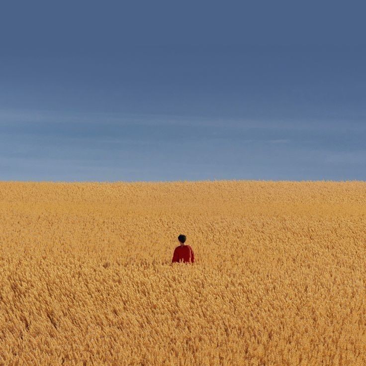 إلى أمي التي تطعمنا خلال شهر رمضان، اللهم اطعمها من ثمار الجنة
 و اجعلها من اهلها يا رب العالمين 🤍