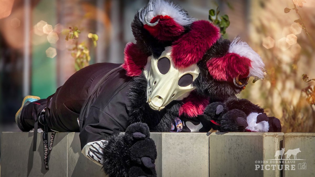 "Ein flauschiges Abenteuer in Rotenburg (Wümme)! Am vergangenen Wochenende fand in Rotenburg (Wümme) bei strahlendem Sonnenschein  ein unvergesslicher Fursuit Walk statt. Die farbenfrohen und kreativen Kostüme der Teilnehmer sorgten für eine ausgelassene und fröhliche Stimmung.