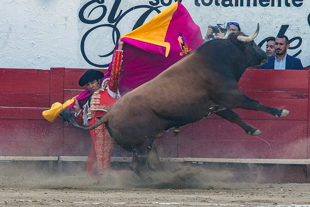 javierhoyos's tweet image. Diego San Román se lleva la tarde de la corrida de triunfadores del serial taurino 2025 en la Nuevo Progreso @emsa_gdl. El de Querétaro corta 3 orejas, 1 en su primer turno y 2 en el segundo, Demuestra poder y clase al sacar la casta en toros de Garfias muy ajustados en la lidia.