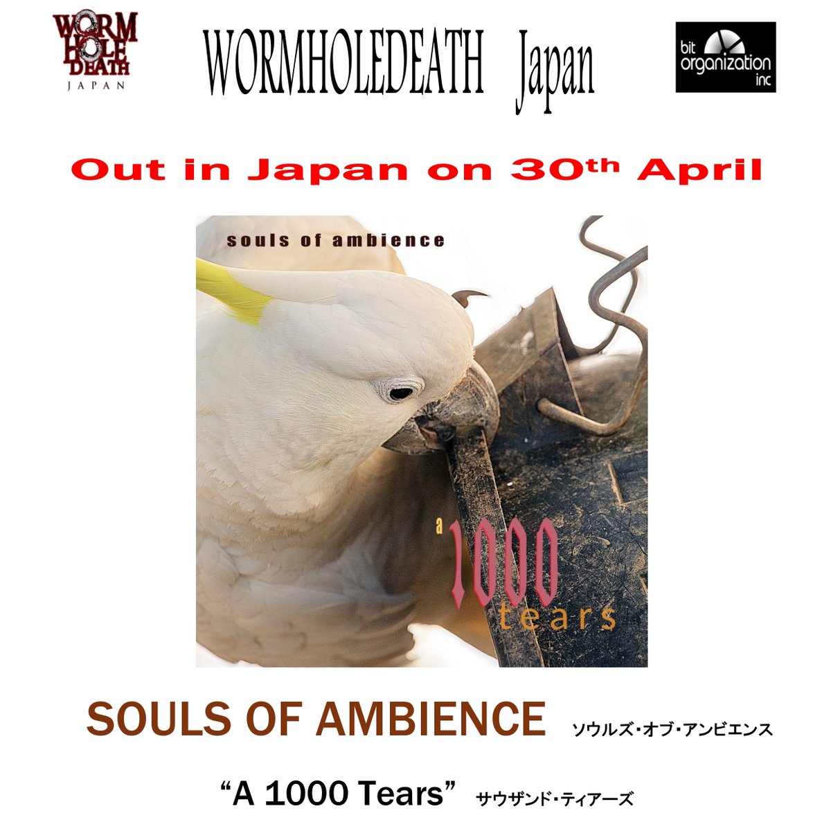Kishimoto1Masa's tweet photo. ★4月30日リリース
🟠Souls of Ambience
（ソウルズ・オブ・アンビエンス）
“A 1000 Tears”
（サウザンド・ティアーズ）
*プログレッシヴ・ロック
*オーストラリア
▼詳細
https://t.co/jEekGw7k6v
▼ご予約
*Disk Union
https://t.co/gvr8WgZWRu
*Amazon
https://t.co/Tu6PTYitii https://t.co/9TLR6iTOCh