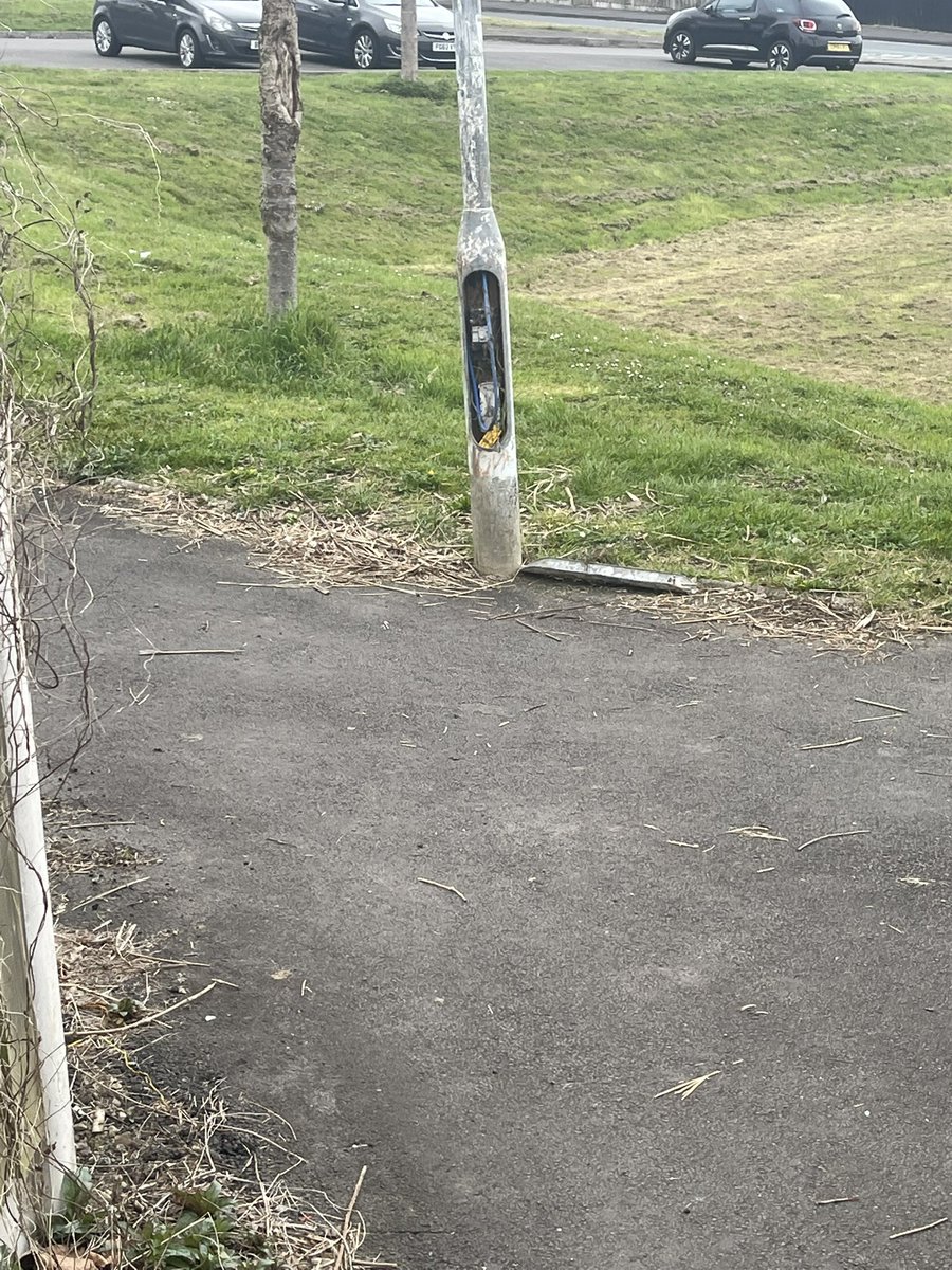 Sarah O'Kelly tweet media