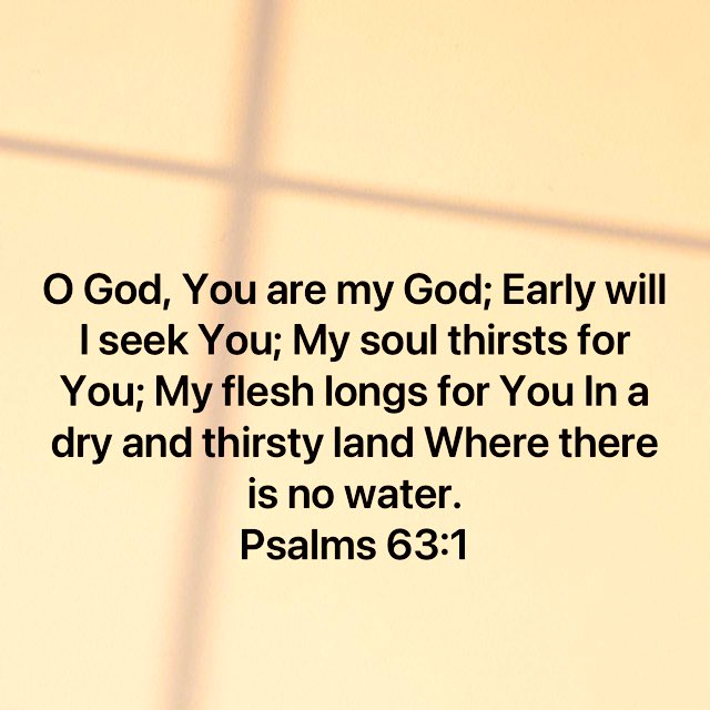 Search for him everyday, everytime