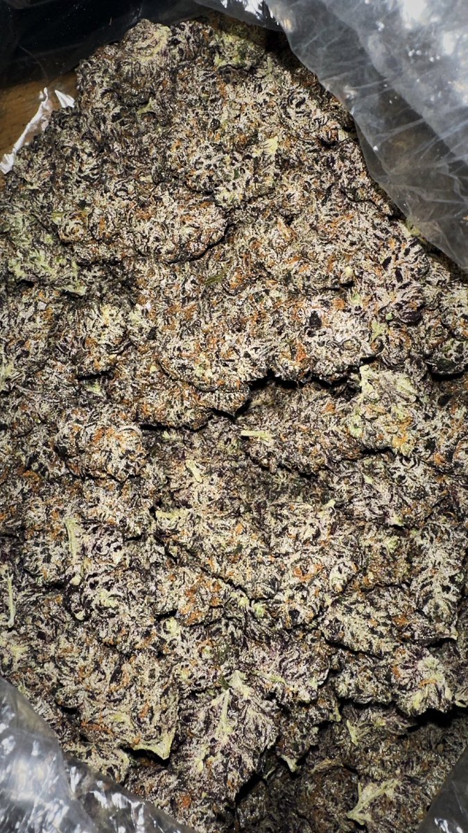 jellywizard707's tweet image. Humboldt Flowers hitting the rec market🫡