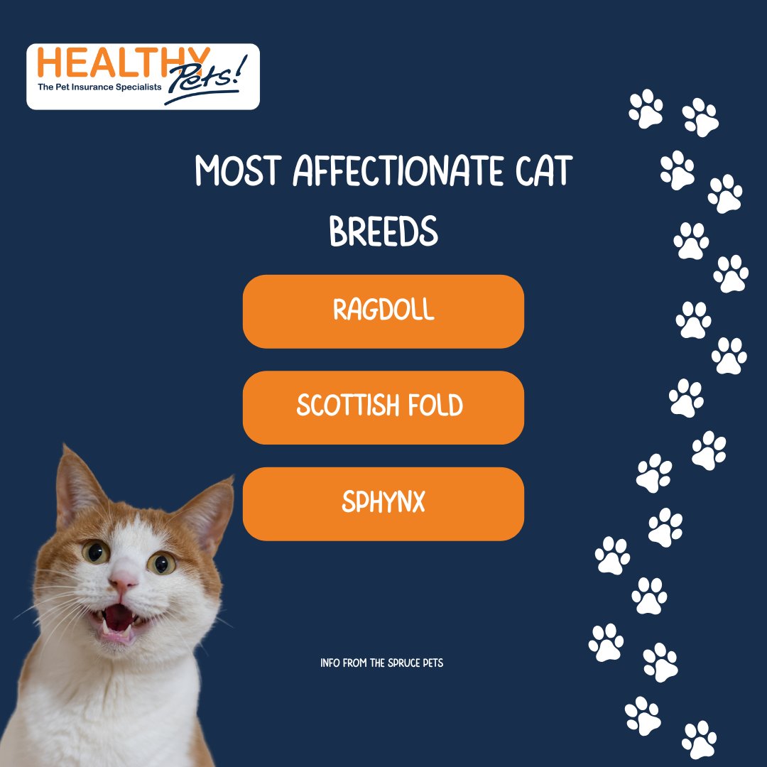 Healthy Pets Insurance tweet media