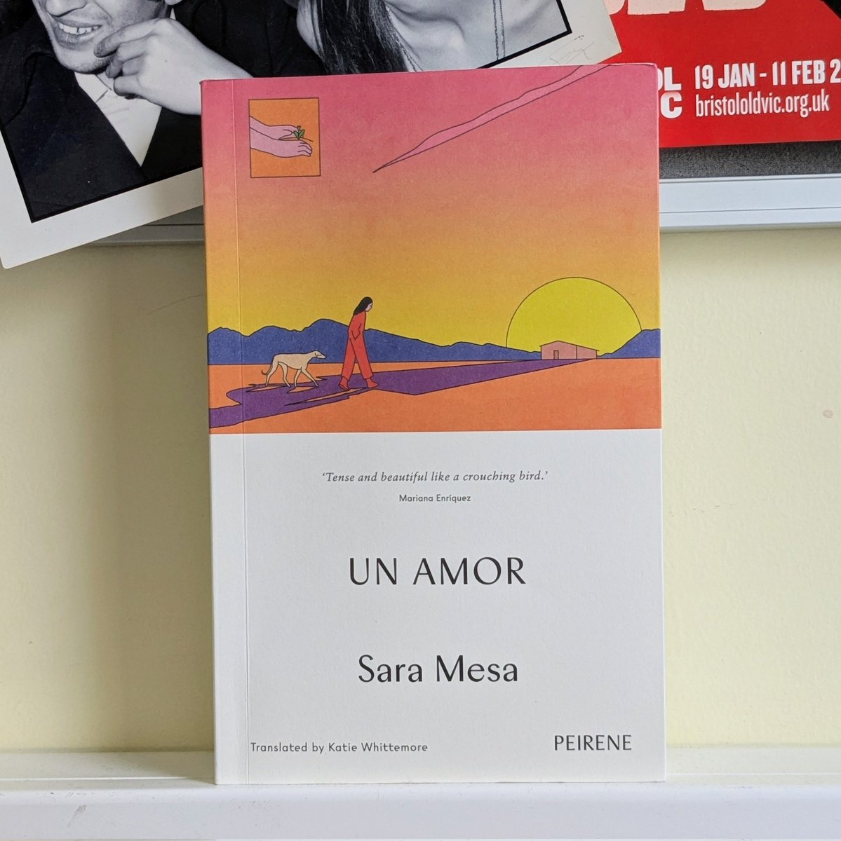 Translating Women @translatingwomen.bsky.social (@translatewomen) on Twitter photo Raced through UN AMOR by Sara Mesa (tr. Katie Whittemore), a tense novella of everyday tragedies in which a transaction leads to an obsession and then an unravelling in the small-town community of La Escapa. Loved it. <a href="/PeirenePress/">Peirene Press</a> #Recommended Raced through UN AMOR by Sara Mesa (tr. Katie Whittemore), a tense novella of everyday tragedies in which a transaction leads to an obsession and then an unravelling in the small-town community of La Escapa. Loved it. <a href="/PeirenePress/">Peirene Press</a> #Recommended