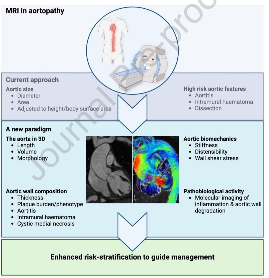 James Nadel (@docnadel) on Twitter photo Our latest paper on the future of MRI for assessing aortopathy is in <a href="/journalofCMR/">Journal of CMR</a>.
Link 👉🏼 pubmed.ncbi.nlm.nih.gov/39986653/
We can do much more than current standard-of-care with #WhyCMR to improve risk predictions & outcomes for our patients.🫀
<a href="/KingsCollegeLon/">King's College London</a> <a href="/TheRACP/">The Royal Australasian College of Physicians</a> <a href="/HRIAust/">Heart Research Institute</a> Our latest paper on the future of MRI for assessing aortopathy is in <a href="/journalofCMR/">Journal of CMR</a>.
Link 👉🏼 pubmed.ncbi.nlm.nih.gov/39986653/
We can do much more than current standard-of-care with #WhyCMR to improve risk predictions & outcomes for our patients.🫀
<a href="/KingsCollegeLon/">King's College London</a> <a href="/TheRACP/">The Royal Australasian College of Physicians</a> <a href="/HRIAust/">Heart Research Institute</a>