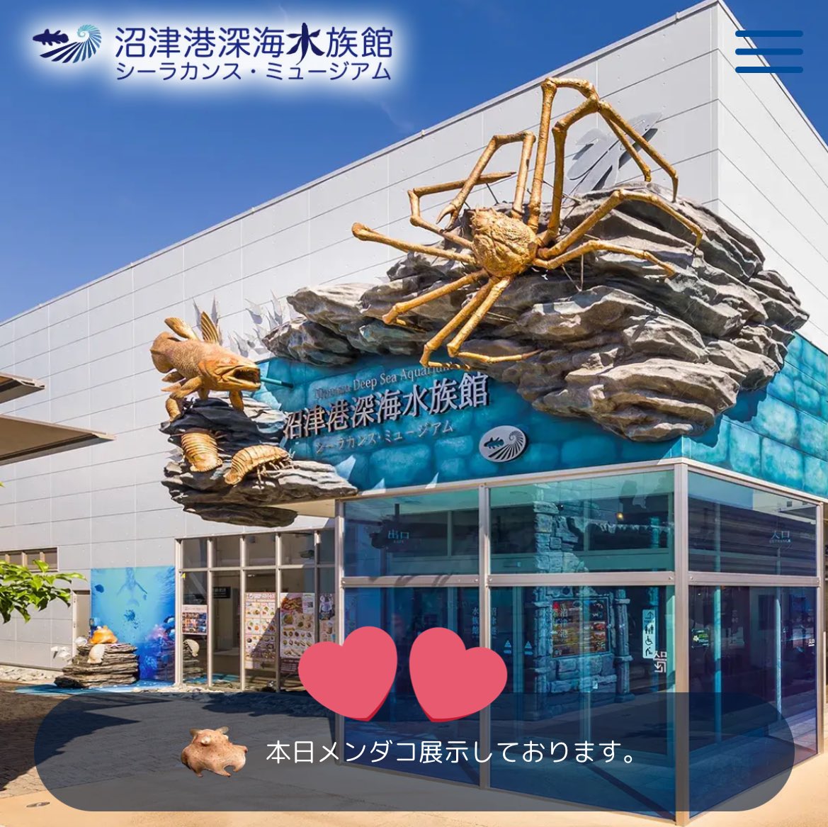 沼津港深海水族館 の公式HPに『本日メンダコ展示しております』の文字