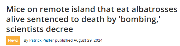 Insanity Trials tweet media