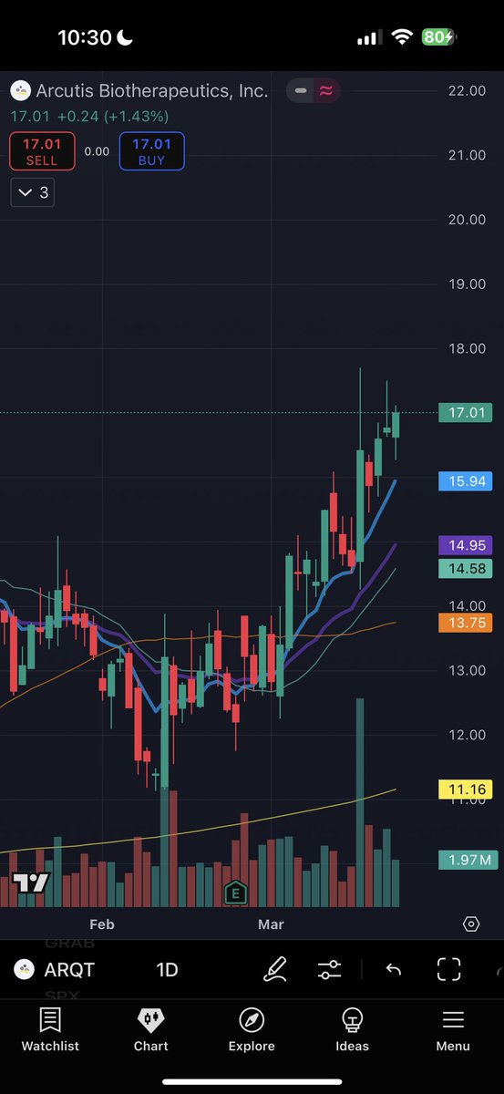 Logical Thesis tweet media