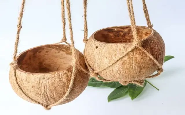 Newskarnataka's tweet image. Students Set Up Coconut Shell Feeders to Help Birds Beat the Heat

#SaveBirds #EcoFriendlyInitiative #ChirpChirpCampaign #SustainableLiving #NewsKarnataka 

newskarnataka.com/karnataka/mang…
