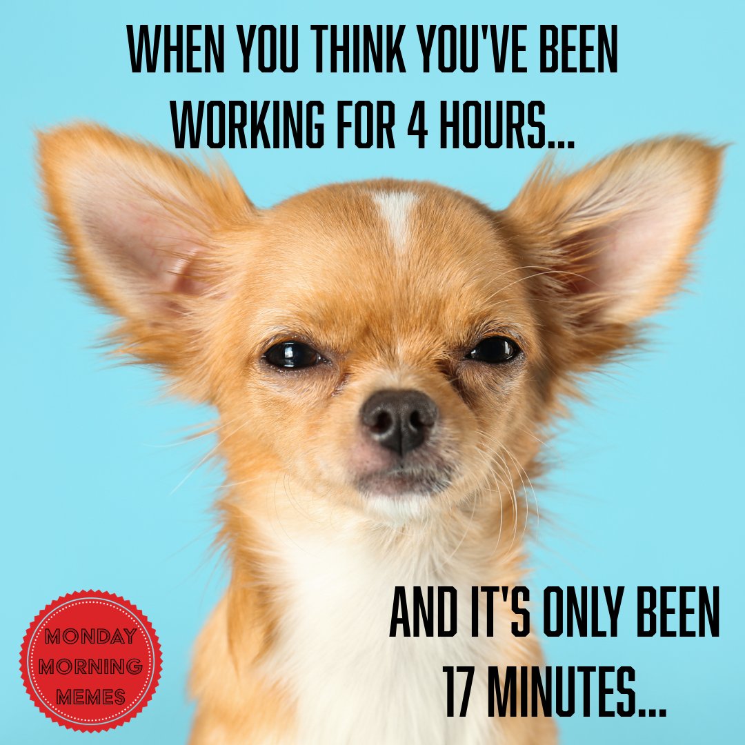 oo_alcoffical's tweet image. #MondayMorningMemes #Funny #OOALC