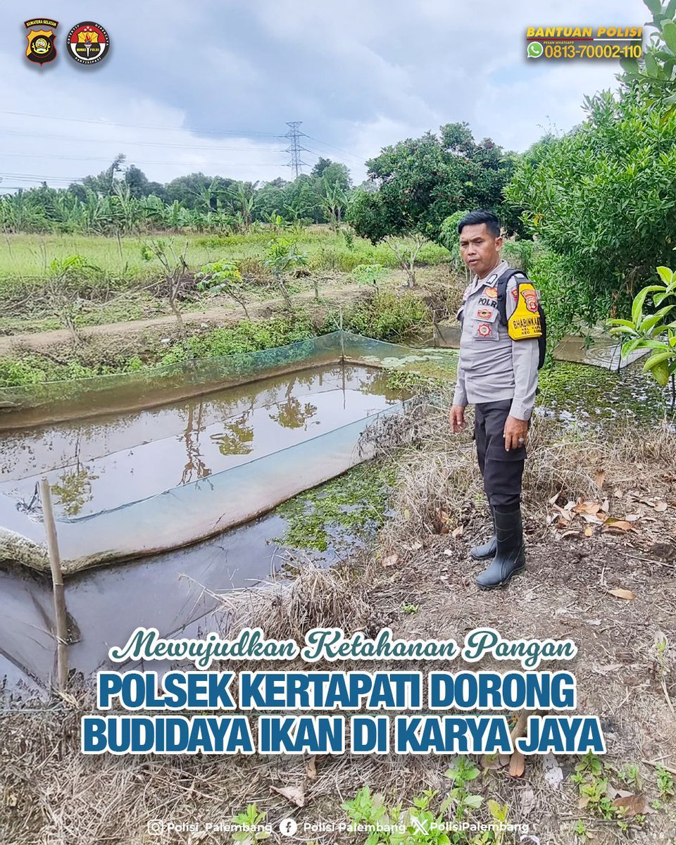 Mewujudkan Ketahanan Pangan, Polsek Kertapati Dorong Budidaya Ikan di Karya Jaya

Polrestabes Palembang melalui Polsek Kertapati terus berperan aktif dalam mendukung program Ketahanan Pangan &amp; Swasembada Pangan yang dicanangkan pemerintah.