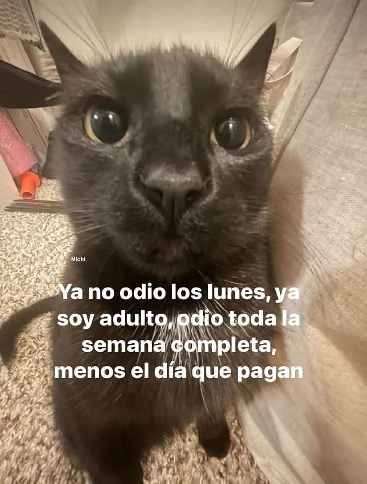 En Júpiter (@en_jupiter_) on Twitter photo 