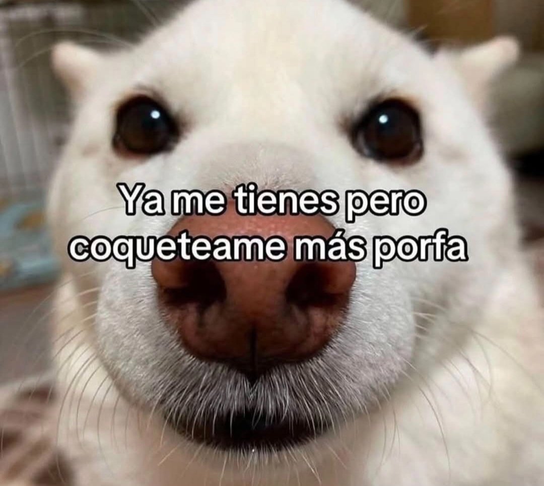 En_jupiter_'s tweet image. 