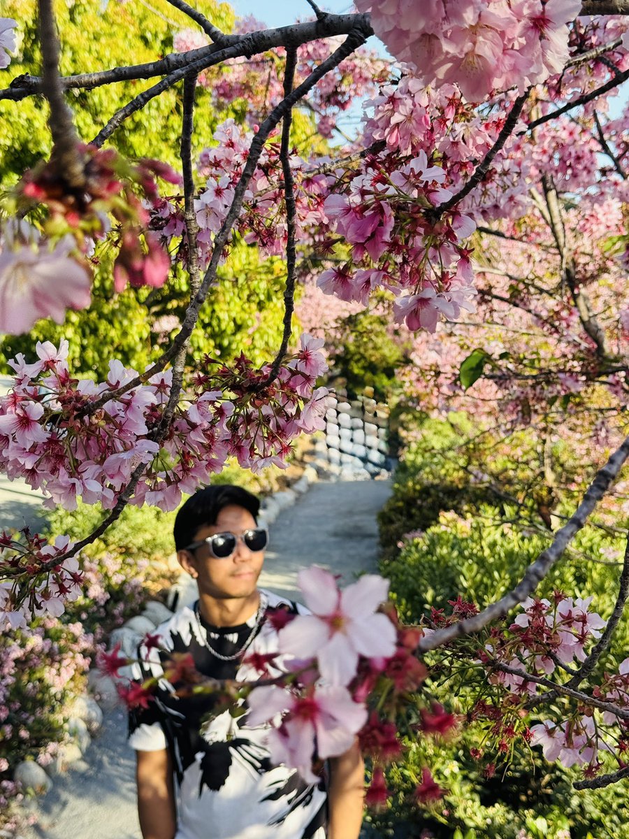 iam_kenito's tweet image. Just like the CHERRY BLOSSOMS 🌸 let's embrace the CHANGE and the NEW BEGINNINGS 🥰
#SakuraSeason #HelloSpring #CherryBlossom 🌸
📍 Japanese Garden at Balboa Park, San Diego