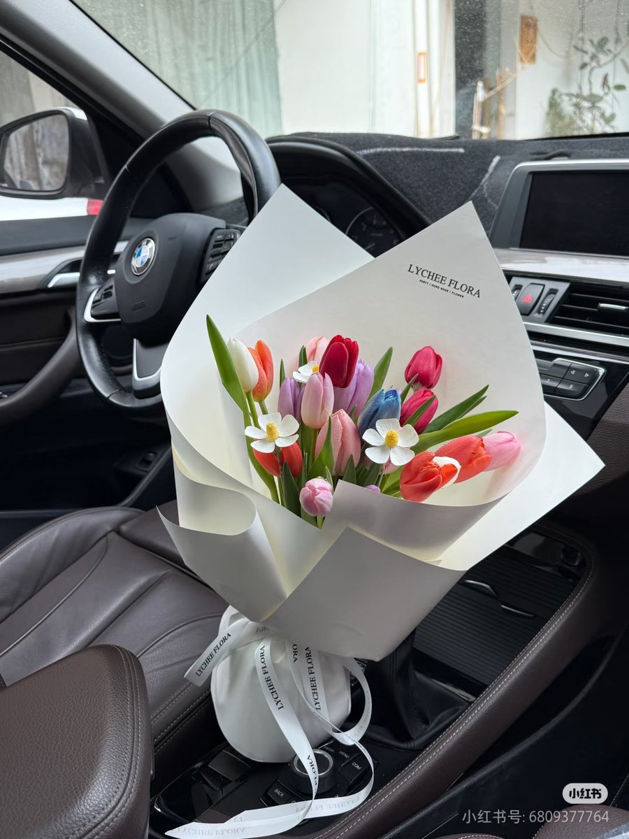 打包春天的彩色郁金香🌷