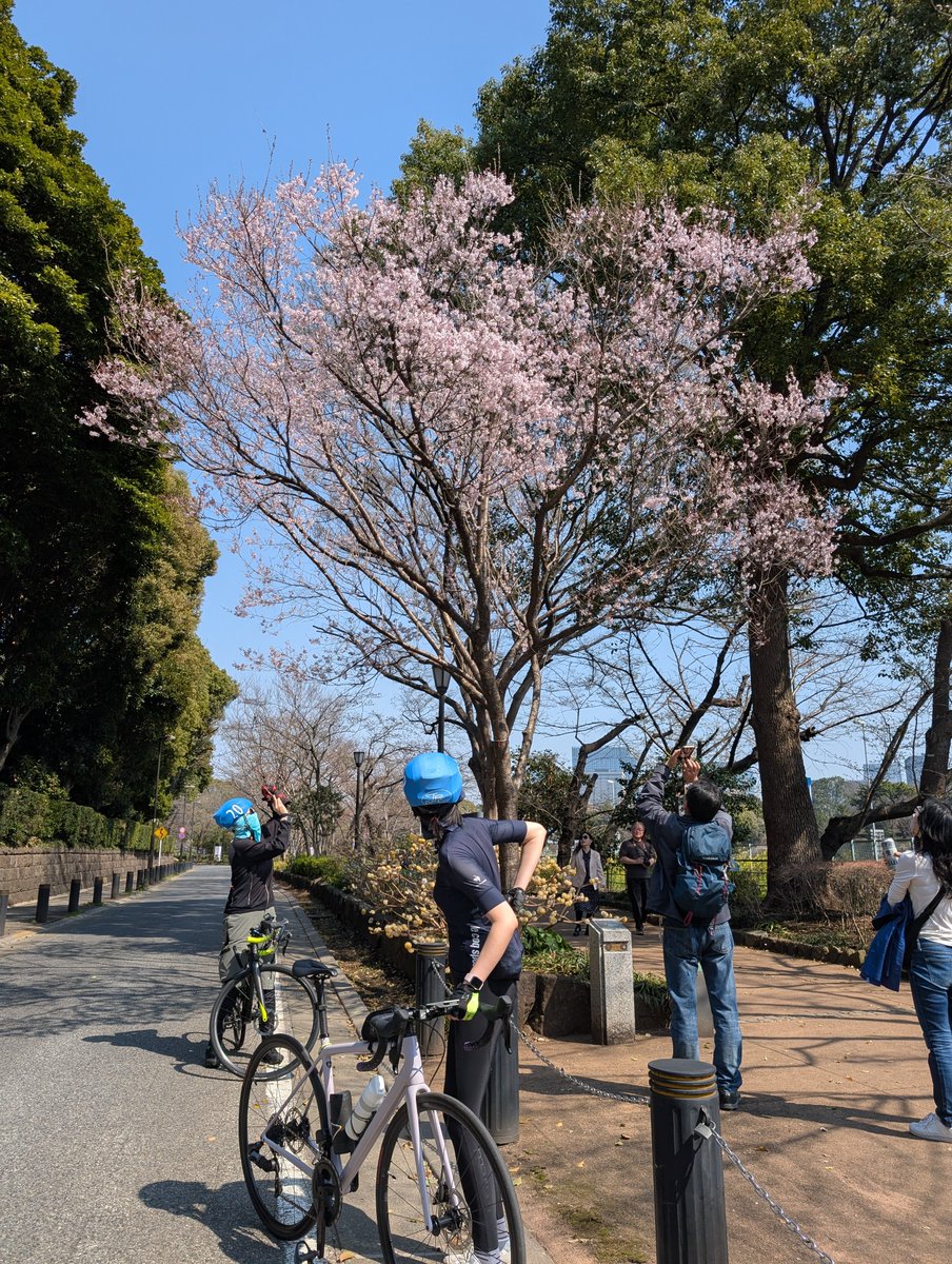 昨日、「東京さくら名所巡りサイクリング」を開催しました！🌸

桜の満開には少し早かったですが、絶好のサイクリング日和に恵まれ、参加者の皆さんがそれぞれのペースで都内の桜の名所を巡り、無事に全員がゴールしました🚴‍♂️✨
ご参加いただいた皆様、ありがとうございました！
来年もまたお楽しみに✨