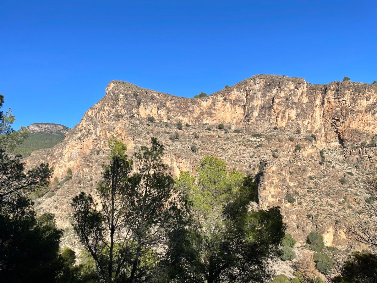 La_Carrasca's tweet image. 🏞️ ¿Buscas un plan de domingo diferente? Te invitamos a recorrer una ruta circular en Sierra Espuña, con paisajes que te dejarán sin aliento. ⛰️
➡️ Más info y cómo unirte: lacarrascaorg.wordpress.com/.../barranco-d…
#senderismo #Lorca #LaCarrasca #SierraEspuña