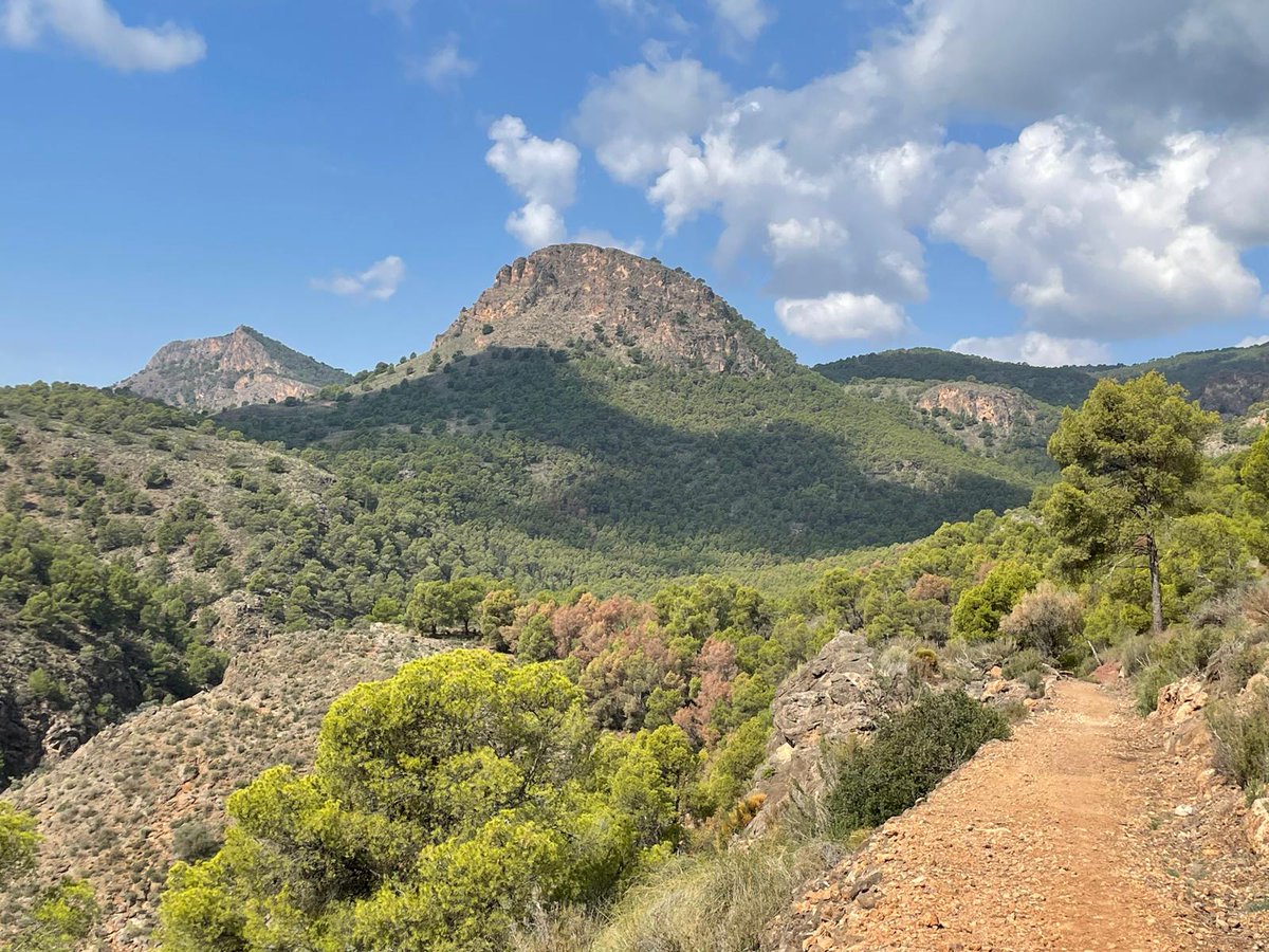 La_Carrasca's tweet image. 🏞️ ¿Buscas un plan de domingo diferente? Te invitamos a recorrer una ruta circular en Sierra Espuña, con paisajes que te dejarán sin aliento. ⛰️
➡️ Más info y cómo unirte: lacarrascaorg.wordpress.com/.../barranco-d…
#senderismo #Lorca #LaCarrasca #SierraEspuña