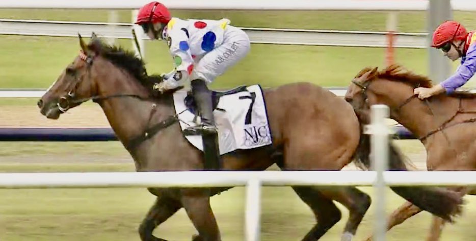 Kim Waugh (@kimwaugh6) on Twitter photo Bertie relishes heavy track conditions <a href="/newcastleraces_/">Newcastle Racecourse</a> #beaumont today scoring his 3rd career win with a strong, momentum ride from <a href="/AlyshaCollett/">Alysha Collett</a> 👏💪💪 #welldoneteam #congrats to his owner Lex Kingdom #LibertyPark 🏇🏇 Bertie relishes heavy track conditions <a href="/newcastleraces_/">Newcastle Racecourse</a> #beaumont today scoring his 3rd career win with a strong, momentum ride from <a href="/AlyshaCollett/">Alysha Collett</a> 👏💪💪 #welldoneteam #congrats to his owner Lex Kingdom #LibertyPark 🏇🏇