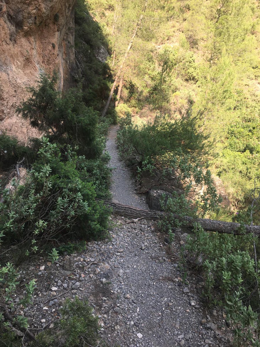 La_Carrasca's tweet image. 🏞️ ¿Buscas un plan de domingo diferente? Te invitamos a recorrer una ruta circular en Sierra Espuña, con paisajes que te dejarán sin aliento. ⛰️
➡️ Más info y cómo unirte: lacarrascaorg.wordpress.com/.../barranco-d…
#senderismo #Lorca #LaCarrasca #SierraEspuña