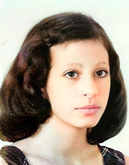 Es la noche del 7 junio de 1976. En la casa de la familia Corral se quedaron hasta bien entrada la noche planchando el delantal y preparando todo: Ana Cristina, de 16 años, es abanderada y mañana le tocará arrear la bandera.