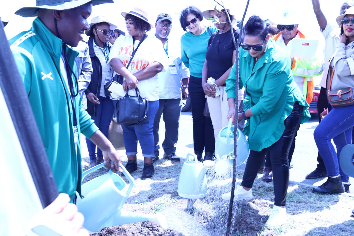 CityofJoburgZA's tweet photo. The event included a tree-planting ceremony and was hosted in partnership with @DEFCCOfficial and @environmentza. #ClimateActionPlan #UrbanForest #JoburgReimagined #ReimaginingJoburg ^LM https://t.co/zVRg1NP0l9