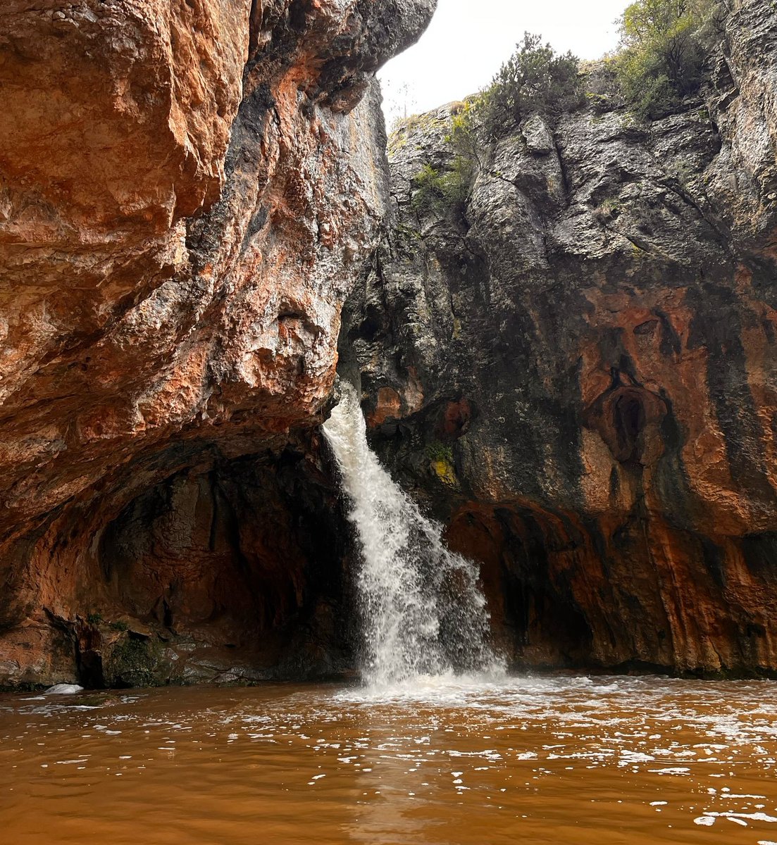 CalFusterDeTous's tweet image. 🌿💦 La Fou de Tous en el seu màxim esplendor! 💦🌿

Després d’aquestes pluges, La Fou de Tous llueix espectacular, amb l’aigua brollant amb força i l’entorn més verd que mai. 🌊✨ Una joia natural que has de veure!