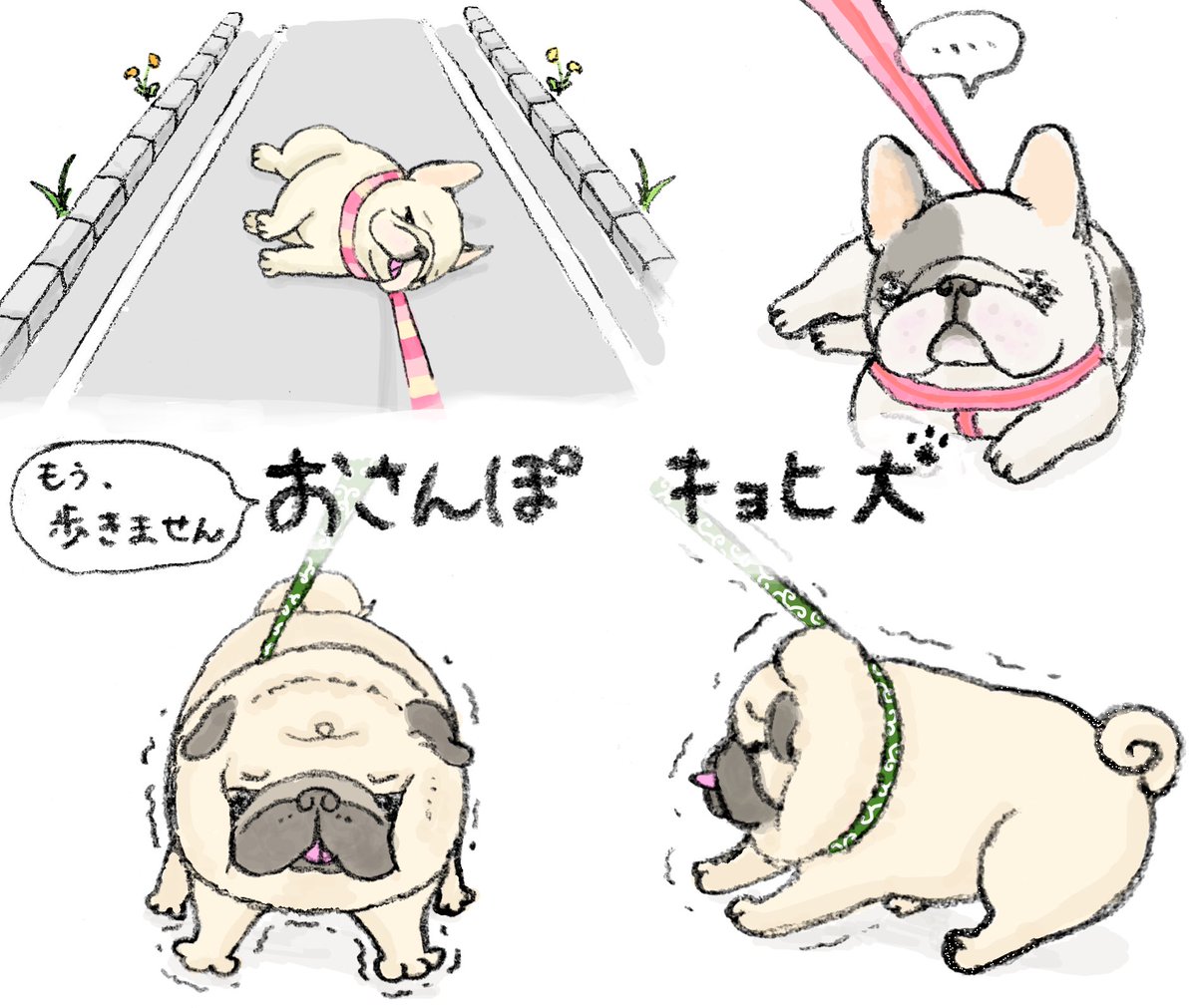 ハナちゃん tweet media