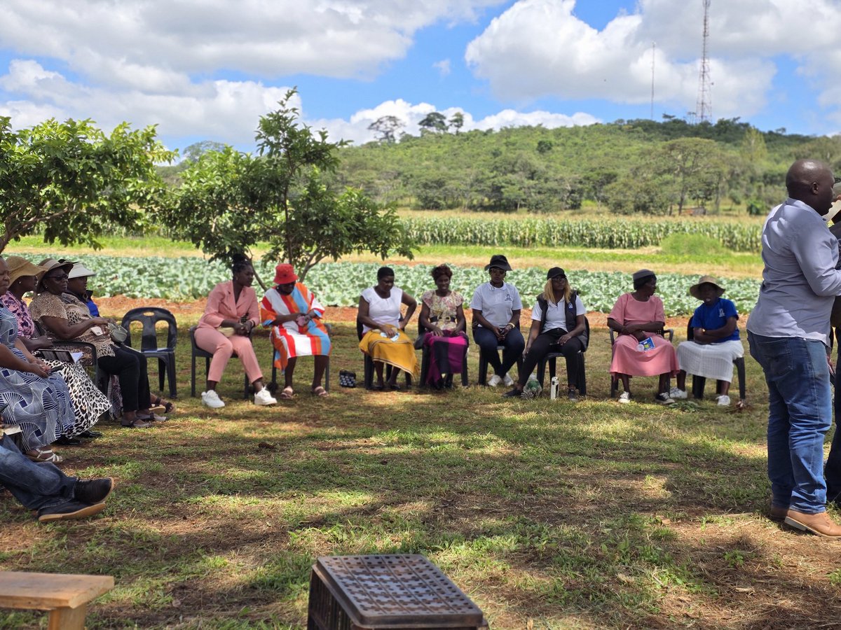 Photo dump for the exchange visit we had with <a href="/ZWBorg/">ZWB</a> members at SimStha farm In Glenforest.

#WomensHistoryMonth 
#Womeninagriculture 
#WomenEmpowerment 
#acceleratingaction