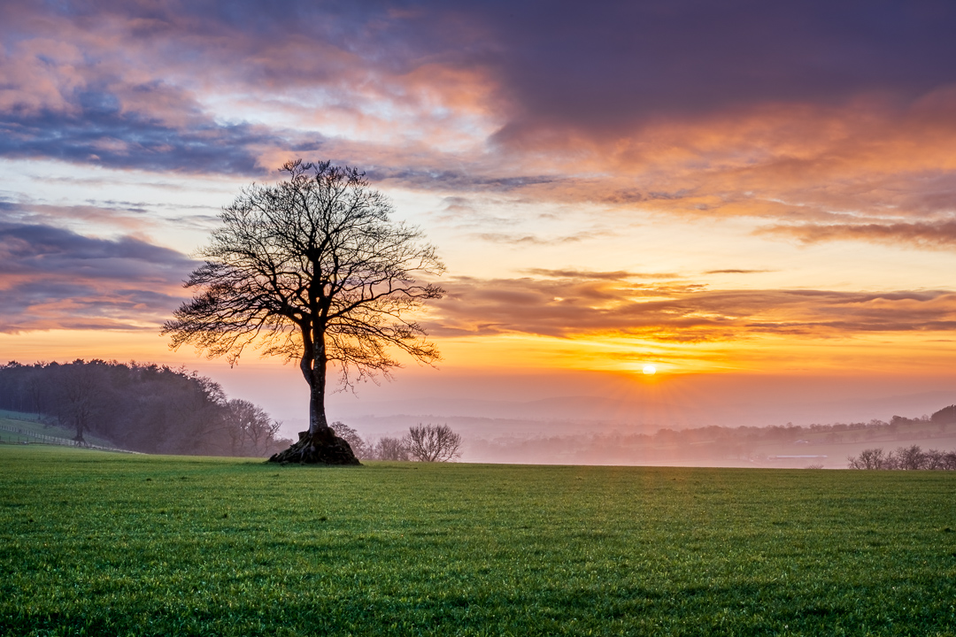 Happy Monday! 

This week we are visiting my favourite lone tree - it's near to home so somewhere I visit often! It sits on the edge of the Blackdown Hills and is one of my favourite spots to simply sit and watch a sunset....

#blackdownhills #stormhour #MondayMotivation