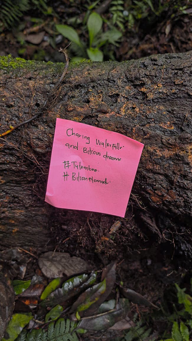 New week, new adventures, and more Bitcoin dreams! 💫✨ Keep chasing waterfalls and stacking sats! 🌊⚡

#HappyNewWeek #Tutembee #Bitcoinomads