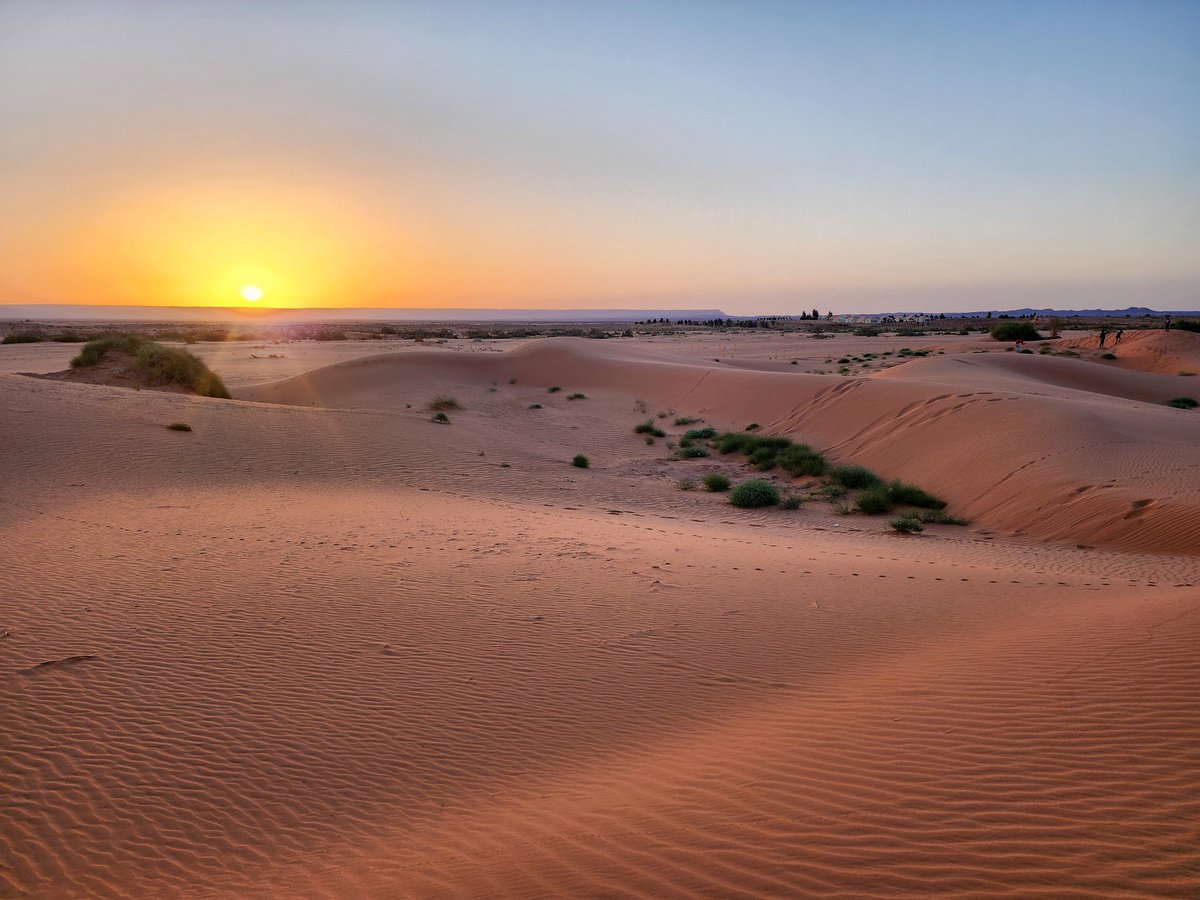 Audrie | MiBrava tweet media