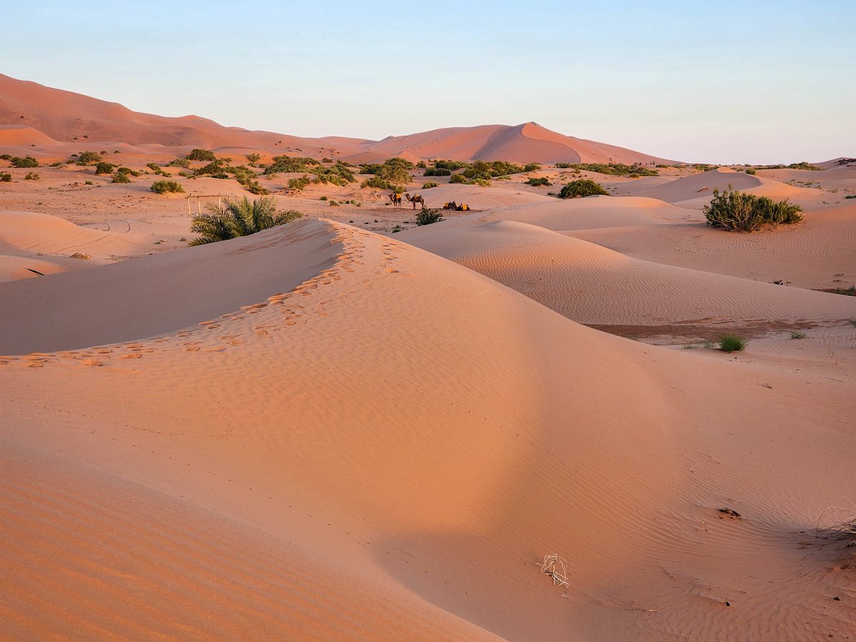 Audrie | MiBrava tweet media