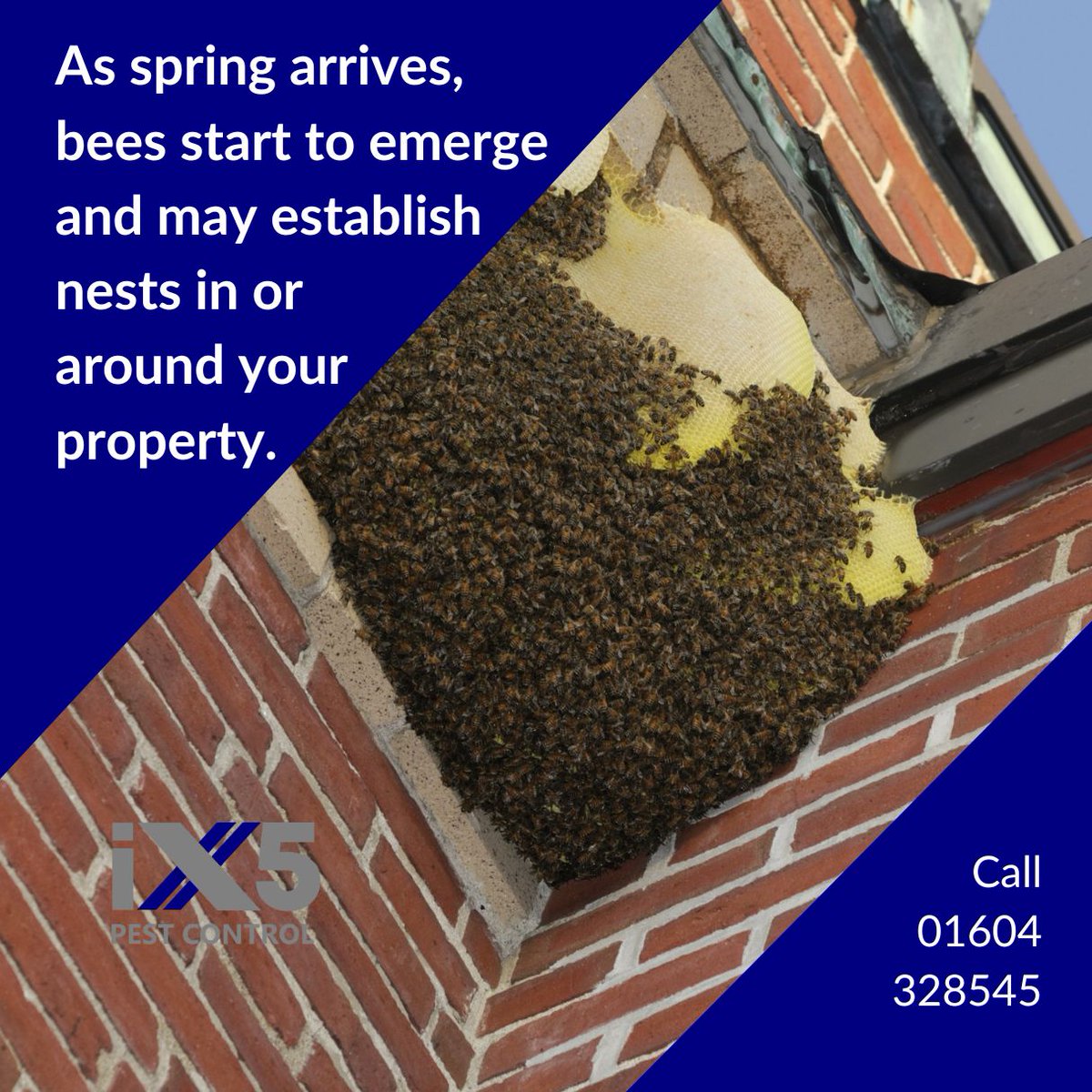iX5uk's tweet image. As spring arrives, bees start to emerge and may establish nests in or around your property. We prioritise the safe and humane removal of bee nests, ensuring both your safety and the preservation of these vital pollinators.  ix5.uk/pest-control-s…
#BeeRemoval #SpringSafety