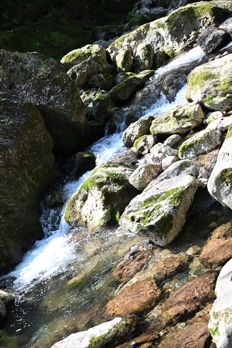 黄推福利内容 - 余榆鱼(沉迷捏脸)的精彩图片 福利姬余榆鱼(沉迷捏脸)分享的黄推图片4 - 网红私拍内容