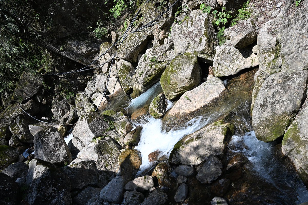 黄推福利内容 - 余榆鱼(沉迷捏脸)的精彩图片 福利姬余榆鱼(沉迷捏脸)分享的黄推图片2 - 网红私拍内容