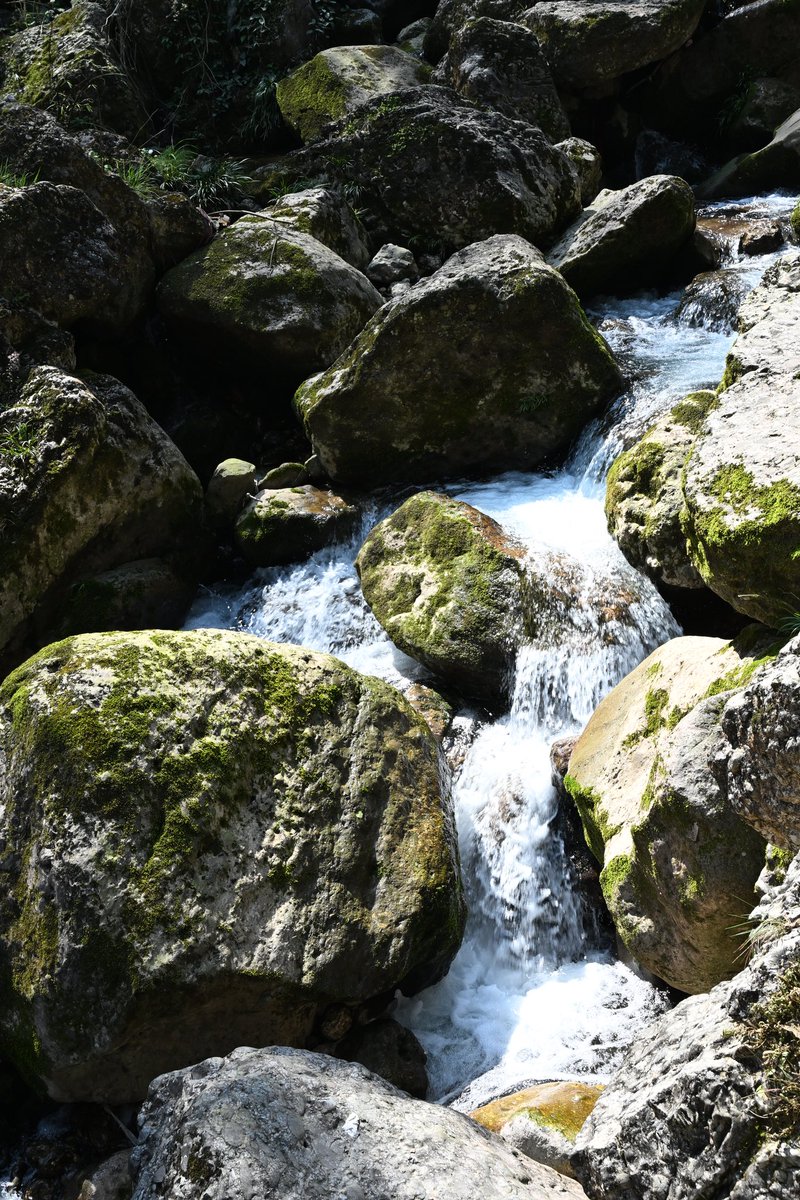黄推福利内容 - 余榆鱼(沉迷捏脸)的精彩图片 福利姬余榆鱼(沉迷捏脸)分享的黄推图片3 - 网红私拍内容