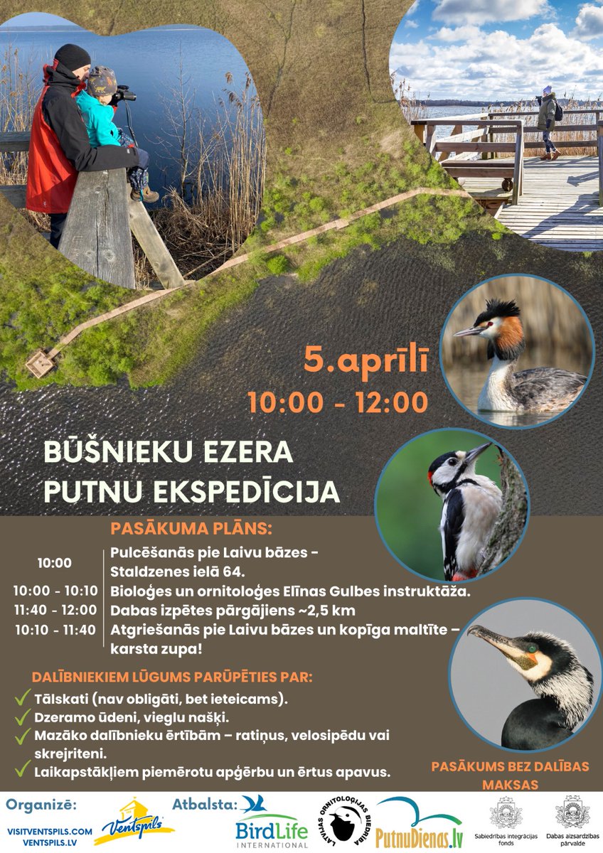 💦Iespēja doties putnu ekspedīcijā Būšenieku ezera apkaimē: putnudienas.lv/lv/pasakumi/b-… #putnudienas #putnudienas2025