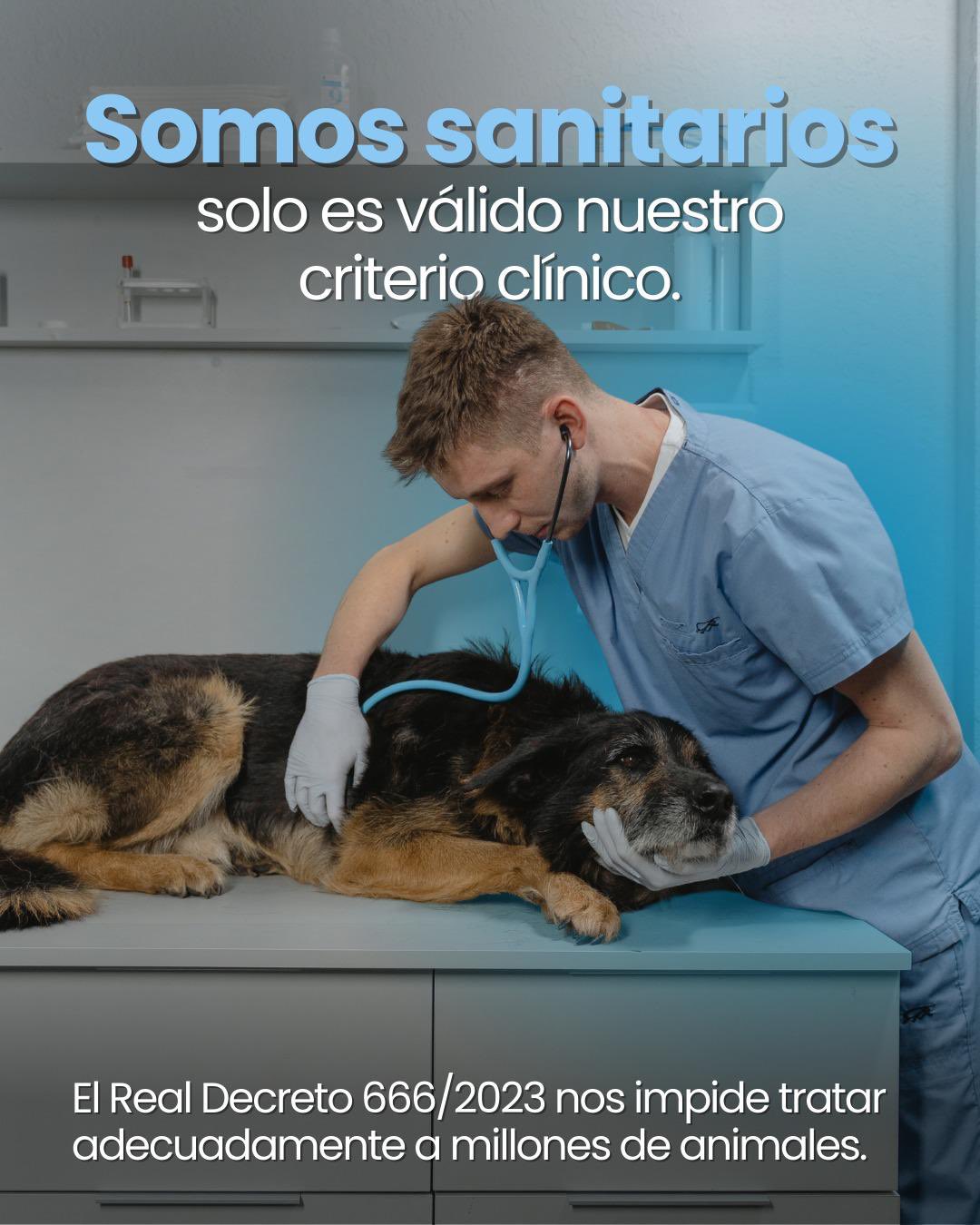 Foto cedida por Colegio de Veterinarios de Madrid Foto cedida por Colegio de Veterinarios de Madrid