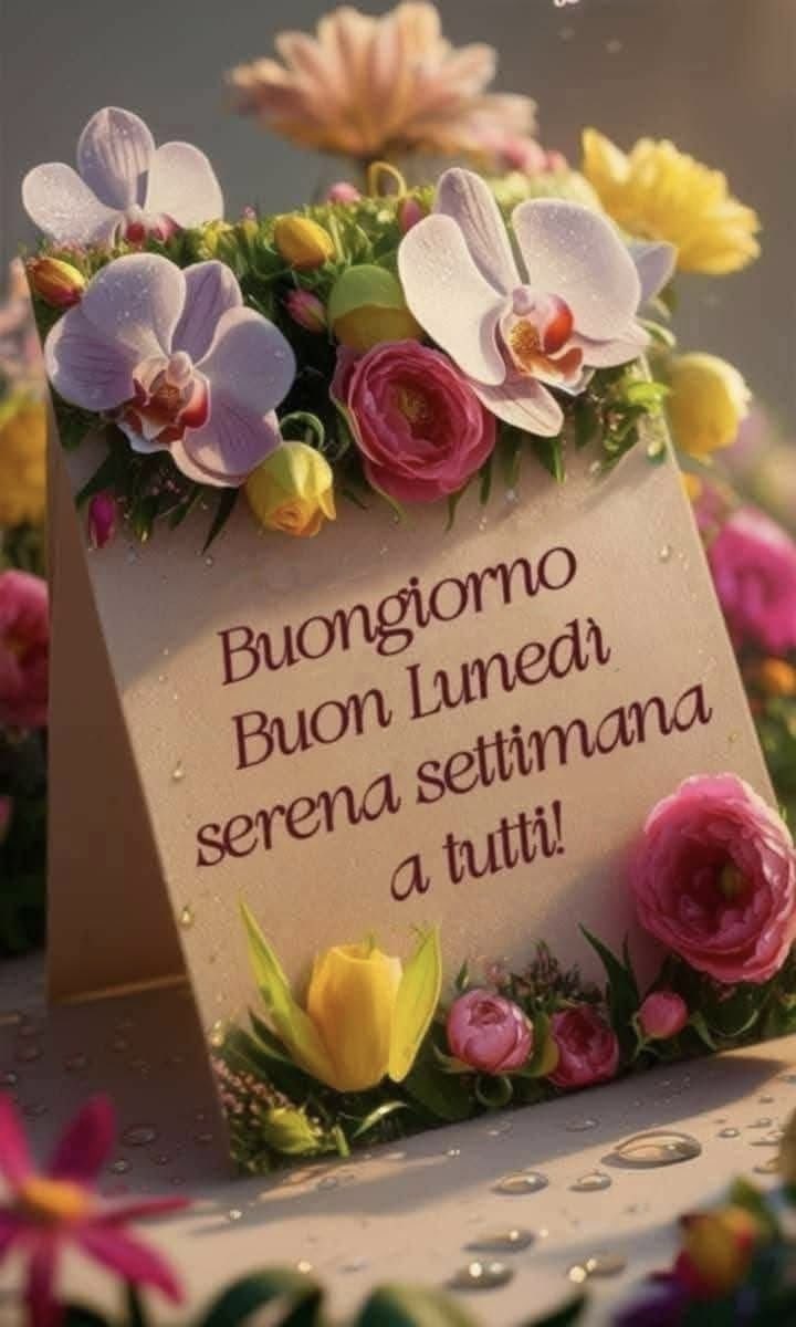 RITABIANCHi56 tweet media